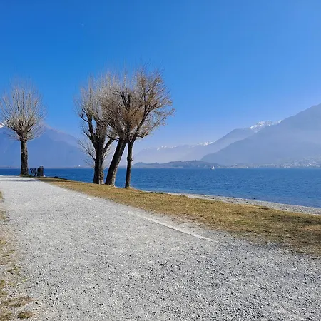 Immobillario - Regina Del * Domaso