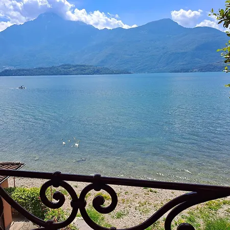 Immobillario - Regina Del Apartamento *